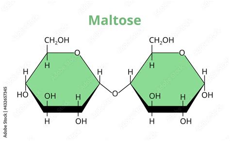 2d Vector Molecular Structure Of The Disaccharide Maltose Malt Sugar