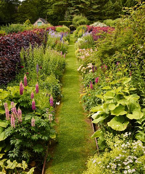 How To Plant A Fragrant Garden Five Plants For Year Long Aromatic