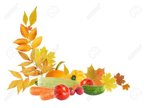 Harvest Border Clip Art Free 10 Free Cliparts Download Images On