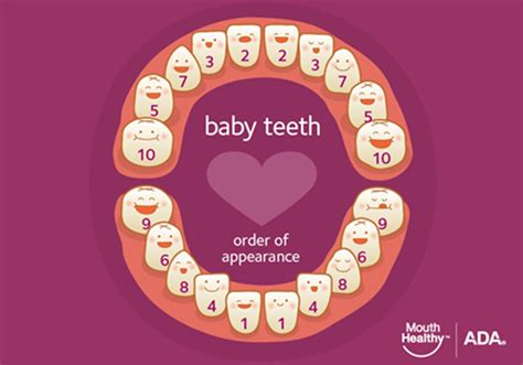 Teething Mouthhealthy Oral Health Information From The Ada