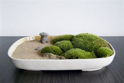 Diy Tabletop Zen Garden Ideas How To Create A Harmonious Mini Oasis