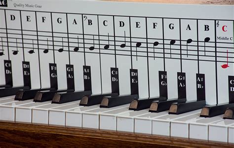 You will learn the difference between white and black notes and there to find a certain note. Piano and Keyboard Note Chart for Behind the Keys ...