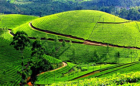 World Tour Top 10 Tourist Places In Ooty