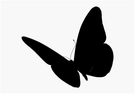 Side Butterfly Wings Clipart Butterfly Wings Png Image With