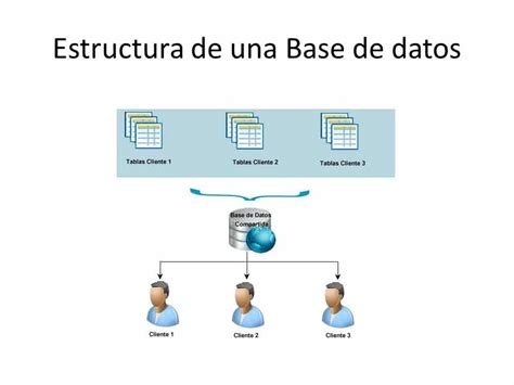 Estructura De Una Base De Datos Gu A Completa