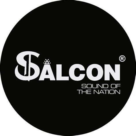Salcon Electronics YouTube