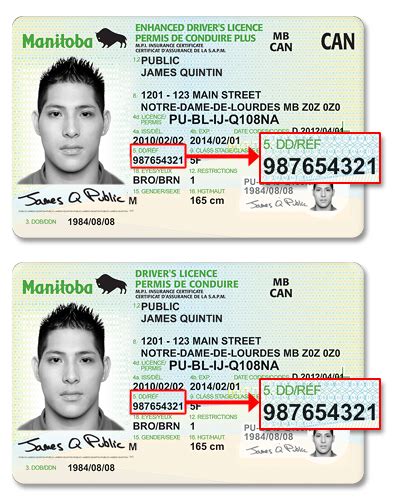 Malaysian driving licence lesen memandu malaysia. Manitoba Public Insurance