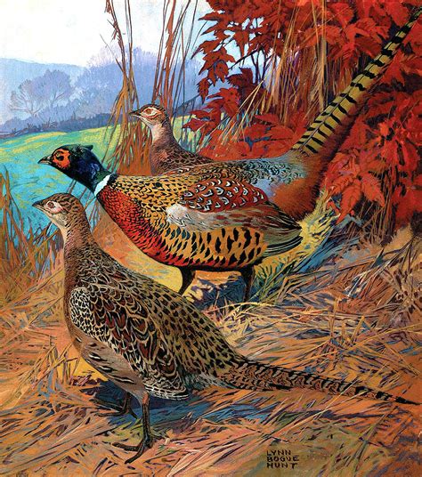 Pheasant Hunting Art