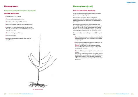 We face a host of systemic. Orchard manual to grow apples on Central Leader system