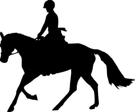 Horse Equestrian Silhouette Clip Art Man Silhouette Png Download