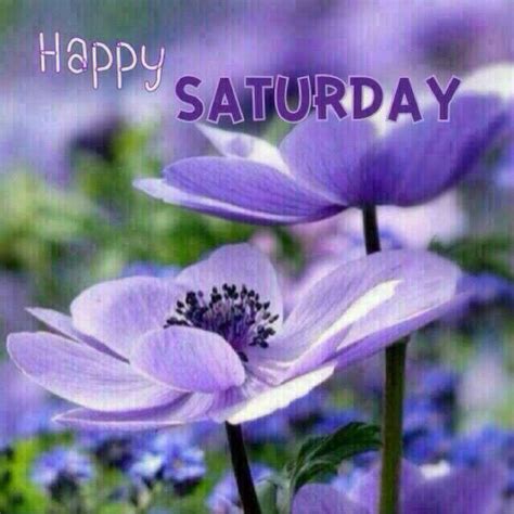 Happy Saturday Flowers Quote Pictures Photos And Images