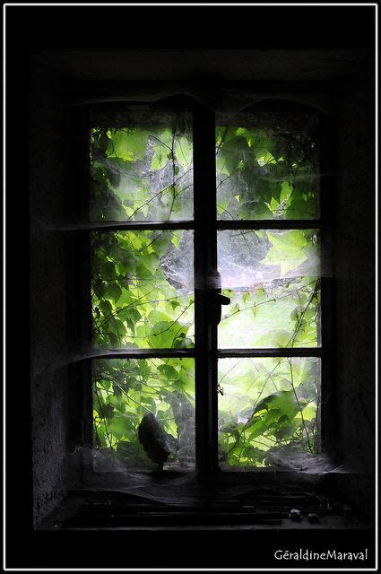 Le prélèvement à la source de l'impôt sur le revenu open_in_new. par la fenetre | Open window, Window view, Through the window