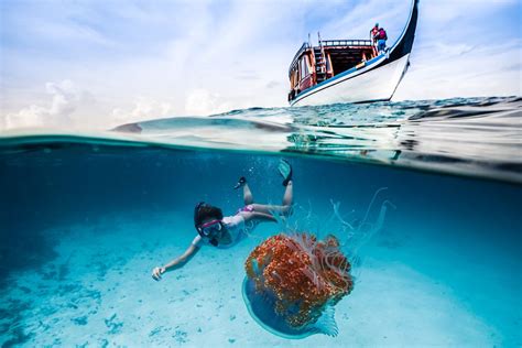 Where To Snorkel And Dive In The Maldives