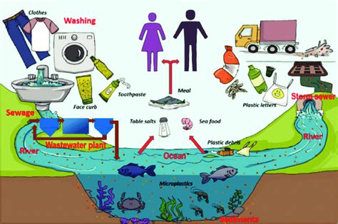 Microplastic Pollution In Aquatic Environments And Impacts