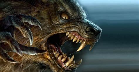 werewolf werewolves