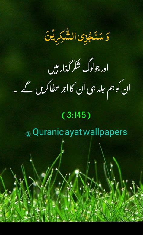 Qurani Ayat With Urdu Translation Beautiful Quotes About Allah Quran