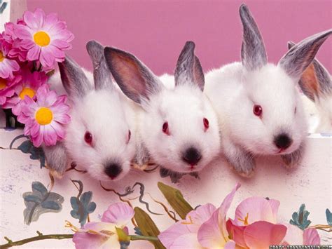 Cute food wallpaper soft wallpaper cute patterns wallpaper iphone background wallpaper cute disney wallpaper aesthetic pastel. Cute Wallpapers