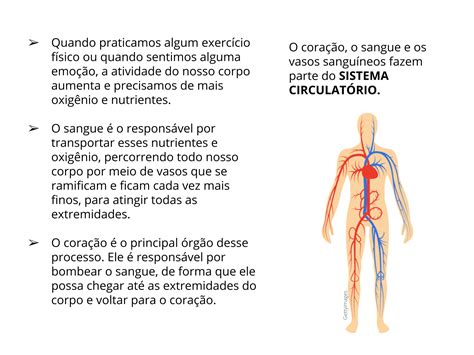 Quanto Litro De Sangue Tem O Corpo Humano