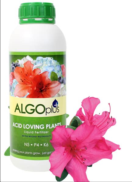 The plant fertilizer is a machine added by industrial foregoing. Algoplus Acid Loving Plants Natural Liquid Fertilizer ...