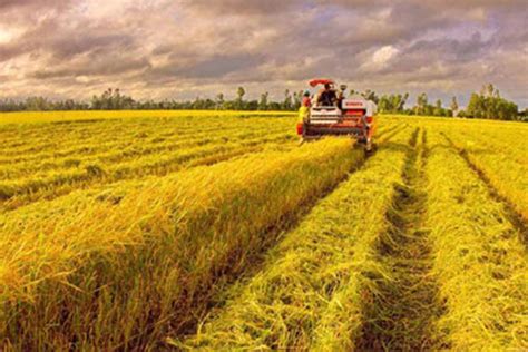 Agriculture is an important sector in malaysia. Agriculture sector expects further investments with ...