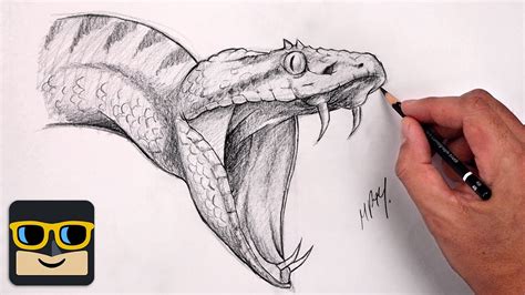 How To Draw A Snake Reptile Sketch Tutorial Youtube