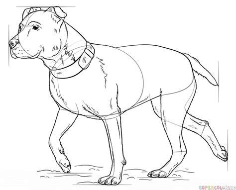 Make sure you have this, because it adds detail to his arm, where otherwise it would just be a stick reaching out. How to draw a pitbull step by step. Drawing tutorials for ...