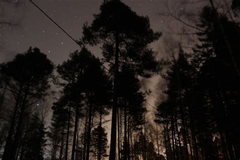 Night Sky From The Woods 3 By Thesightburner On Deviantart