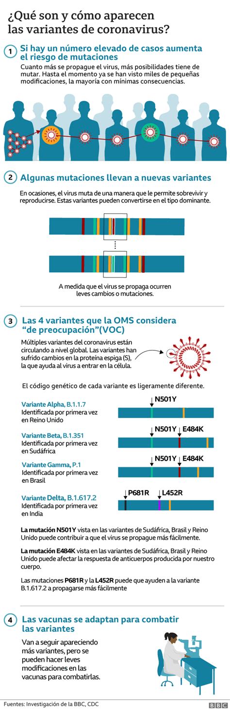 Covid 19 Los Gráficos Que Muestran Todas Las Variantes De Sars Cov 2