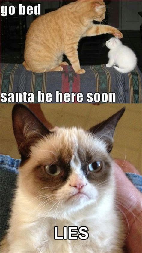 Santa Is A Lie Grumpy Cat Know Your Meme