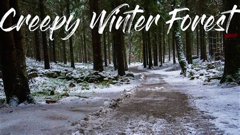 Creepy Winter Forest 4k Youtube