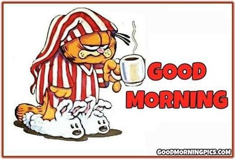 Good Morning Funny Garfield