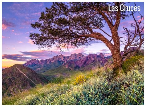 Favorite this post jun 22 teenagers wanting summer jobs $10. Las Cruces, NM - Detailed climate information and monthly ...