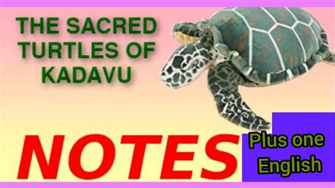 Plus One English Unit 3 Chapter 3 The Sacred Turtles Of Kadavu Textbook