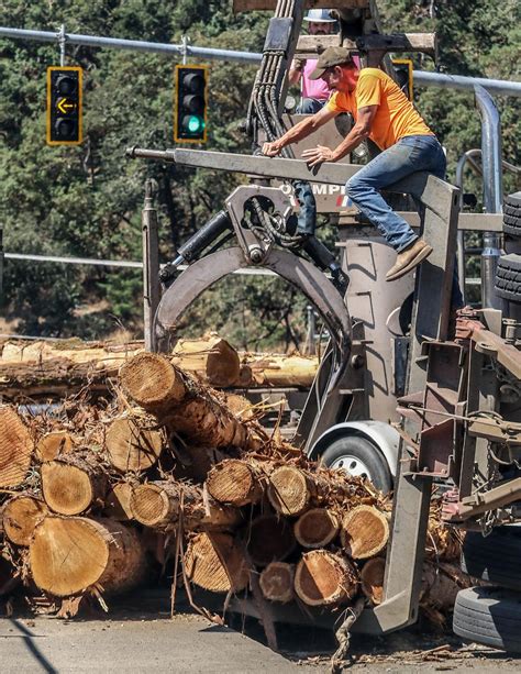 Log Truck Spills Load On Freeway Overpass Local News