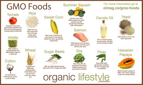 Subsequently, question is, what does zucchini look like inside? GMOs for Newbies- | Real Food Girl
