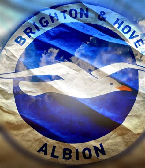 Brighton Fc Background Download Wallpapers Brighton Hove Albion Fc