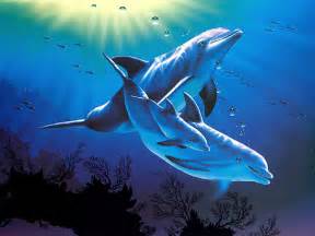 47 3d Dolphin Wallpaper Wallpapersafari