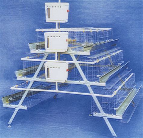 Chicken Cage China Chicken Laying Cage And Chicken Breeding Cage