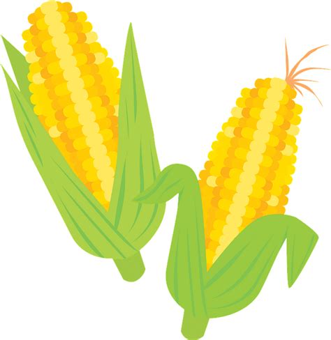 Ears Of Corn Clipart Free Download Transparent Png Creazilla