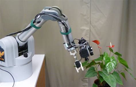 Robotized Plant Measuring