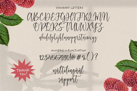 Raspberry Smash Modern Calligraphy Font By Letterative Studio