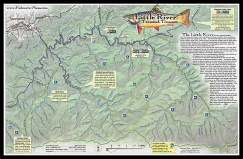 Trout Fishing In Tennessee Map Interactive Map