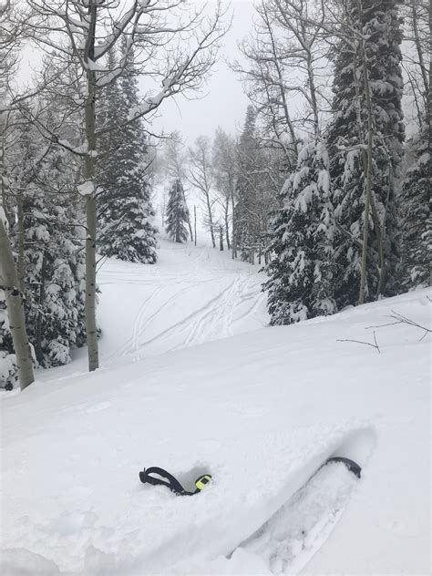 Sanctuary Run Powder Mountain Yes Thats The Top Of My Pole In The
