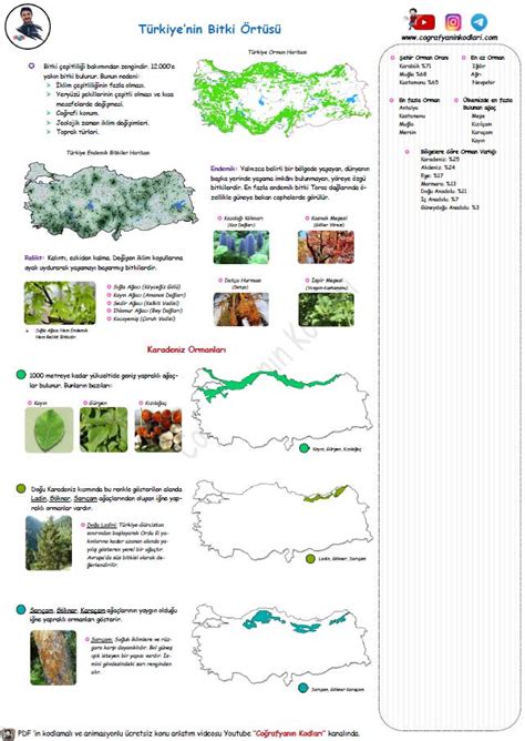 Coğrafyanın Kodları Türkiye nin Bitki Örtüsü Coğrafya Konu Anlatımı PDF