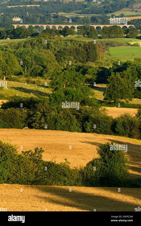 Scenic Sunny Countryside Wharfedale View Broad Green Valley Farmland