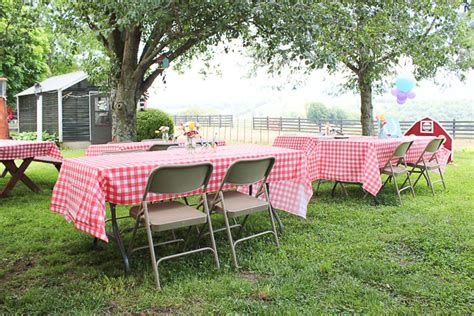 Some kindergarten children will find the grade one worksheets useful as will some grade two students. Simple, Affordable and Easy Farm Birthday Party Ideas