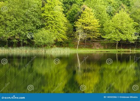 Paisagem Do Lago Spring Foto De Stock Imagem De Cenas 14332266