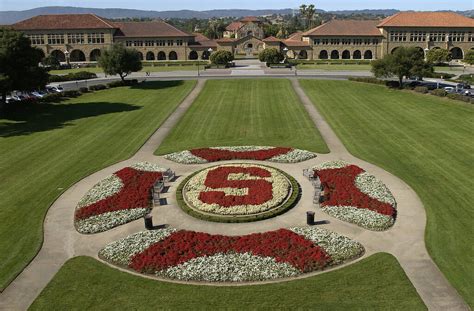 Stanford University Data Science Degree Programs Guide