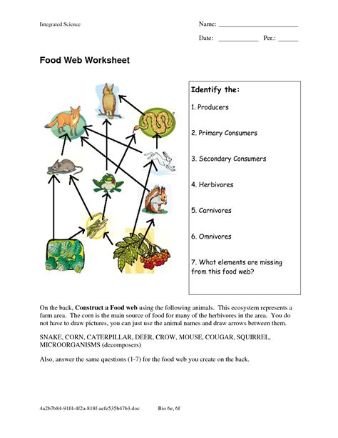 Food Chain And Food Web Worksheet