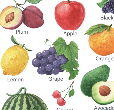 Educational Fruits Chart Printable Classroom Learning Home Etsy